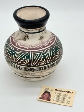 Vanessa Charlie Navajo Horsehair Pottery Vase Signed 2015 Handmade Native Art